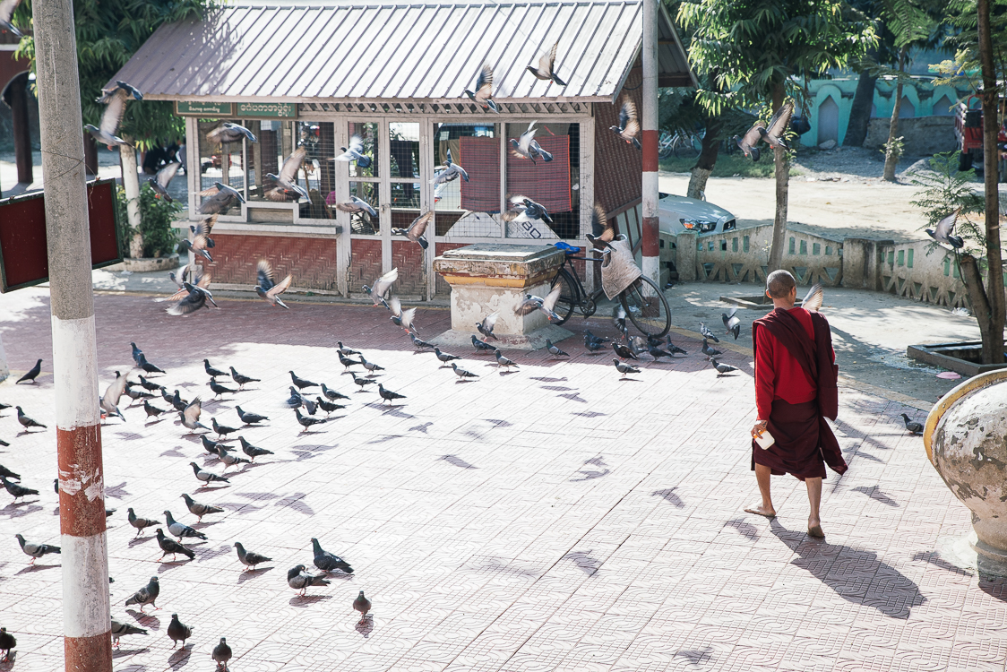 Monk and birds