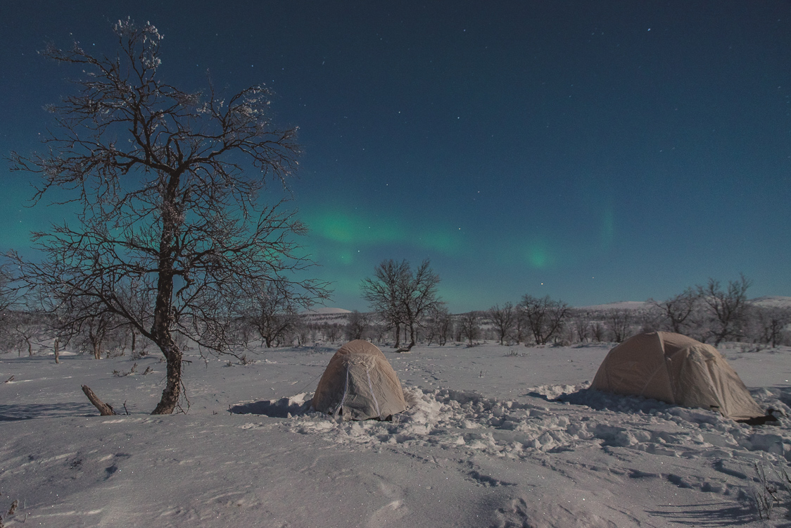 Muotkatunturi wilderness area, Aurores boréales et campement