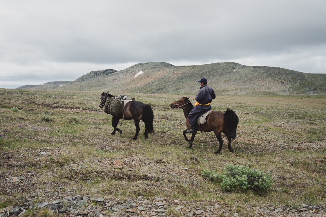 Tsaatan et chevaux