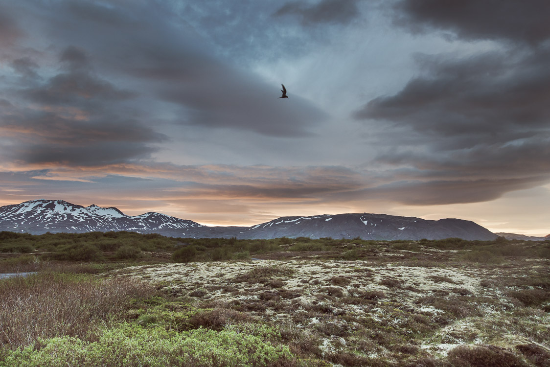 Sunset Silfra Sebastien mas