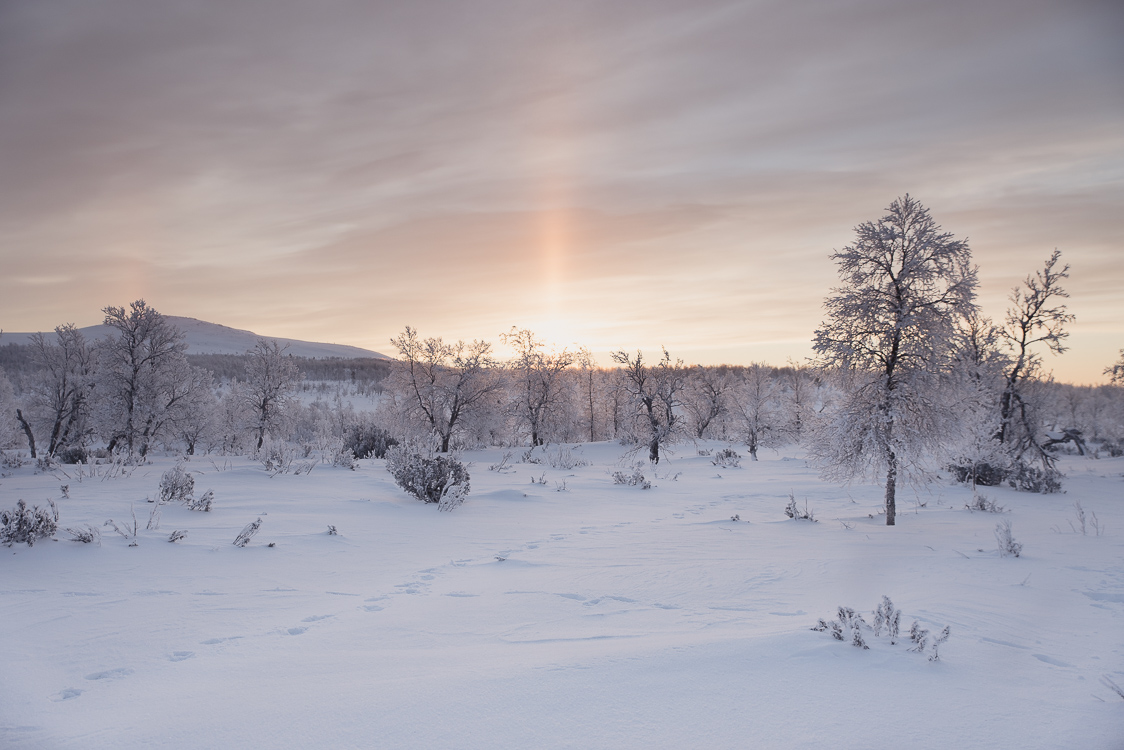 Rayons du soleil Laponie