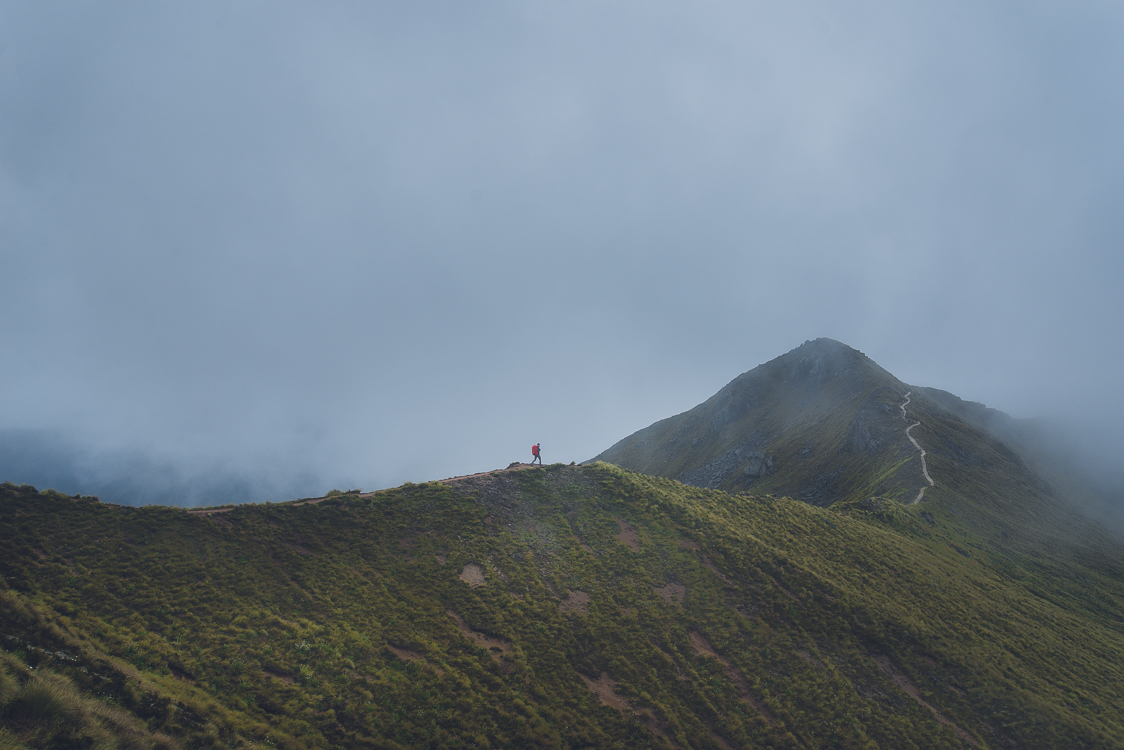 Fog track New Zeland