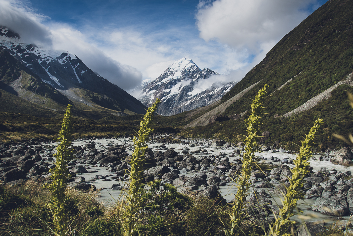 Mountain New zealand mount cook